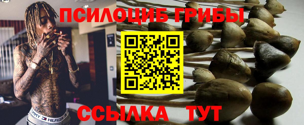 Галлюциногенные грибы ЛСД  Вход с VPN  Галлюциногенные грибы прущие грибы  Асбест 